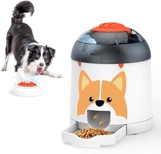 Best Pet Slow Feeders under $50