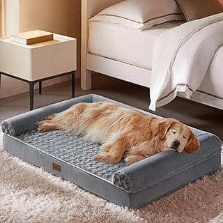 Best Dog Beds under $50