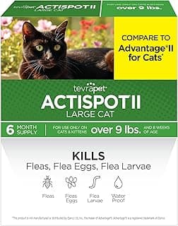 TevraPet Actispot II Flea Treatment for Large Cats 9+ lbs | 6 Doses | Powerful Prevention and Control