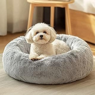 JOLLYVOGUE Dog & Cat Bed, Calming Anti-Anxiety Pet Bed for Small Dogs, Fluffy Donut Cushion for Small and Medium Pets (20")