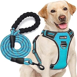 No Pull Dog Harness Adjustable Reflective Oxford Easy Control Medium Large Dog Harness with A Free Heavy Duty 5ft Dog Leash