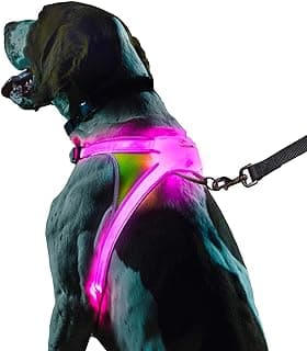 Noxgear LightHound – Revolutionary Illuminated and Reflective Harness for Dogs Including Multicolored LED Fiber Optics (USB Rechargeable, Adjustable, Lightweight, Rainproof) (Large)