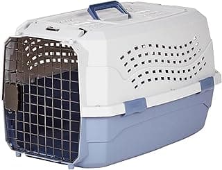 Amazon Basics 2-Door Top-Load Hard-Sided Dogs, Cats Pet Travel Carrier, Gray & Blue, 22.8"L x 15.0"W x 13.0"H