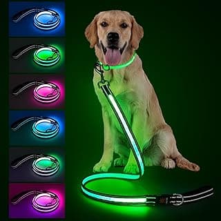 4 Ft LED Dog Leash, Light Up & Lighted Dog Leash, 7 Lighting Modes, Glow in The Dark, Reflective, Double-Sided Light, Rechargeable with Padded Handle for Night Walking Safety, Small to Large Pets